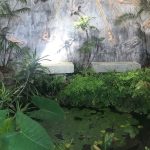 Archeologia e paesaggio di Ischia, il progetto Kepos della Fondazione Walton e La Mortella